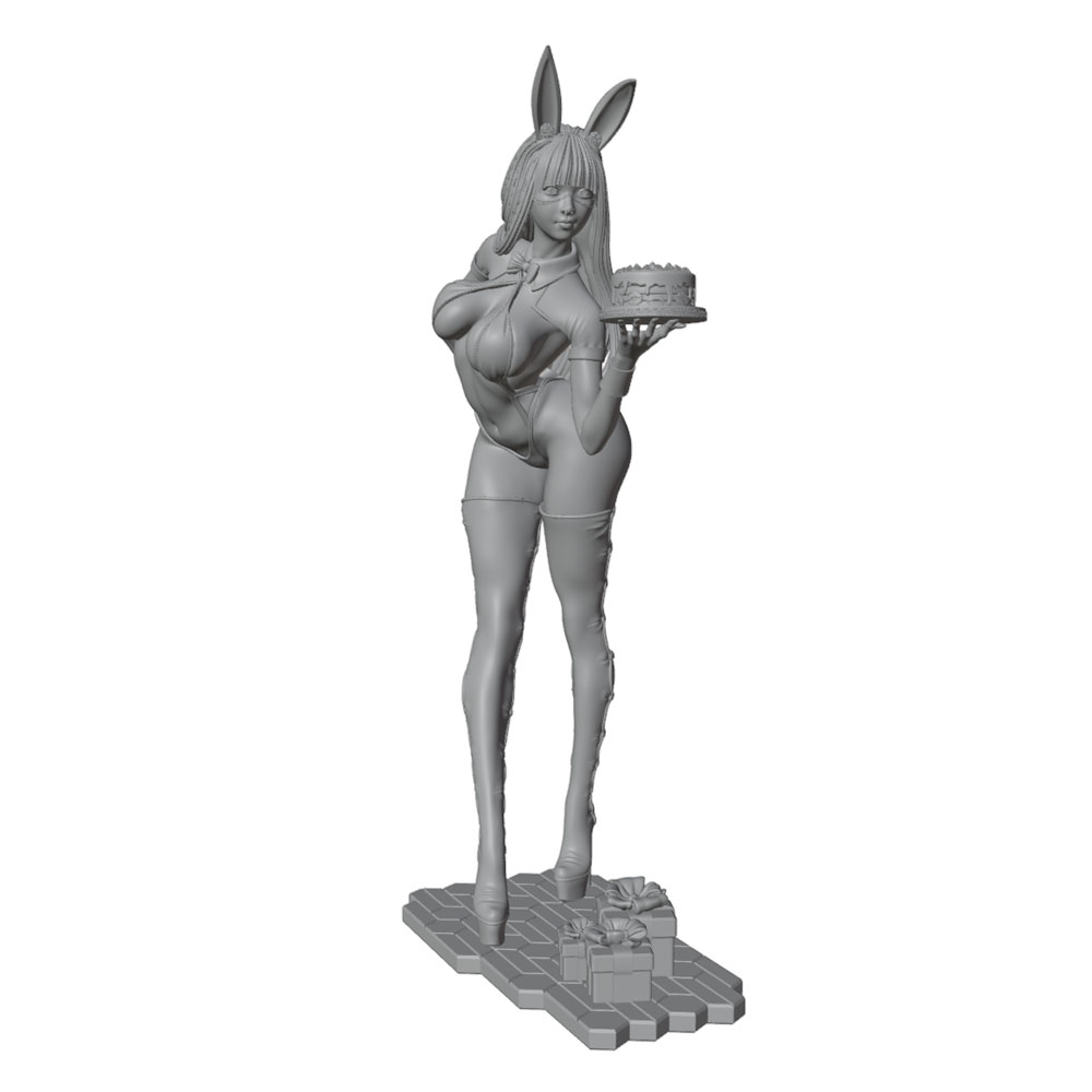 1/24/12/6 Holiday Party Theme  - 3D Printing For Dummies 评论和价格